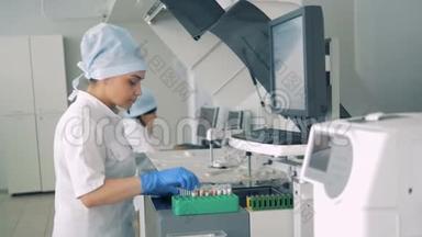 实验室专家正在给一个调色板填充药理学，制药厂的试管。